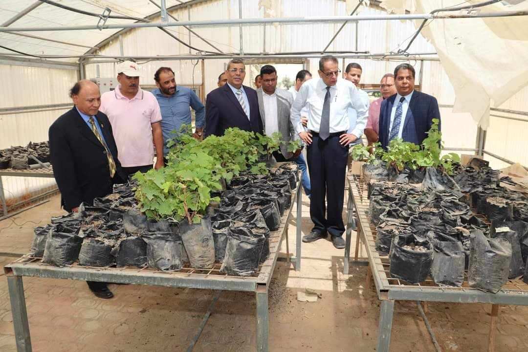 Faculty of Agriculture Receives the Supreme council of Universities committee to Activate the Programs of Protected Agricultural Technology , Agricultural Engineering, and Bio Systems